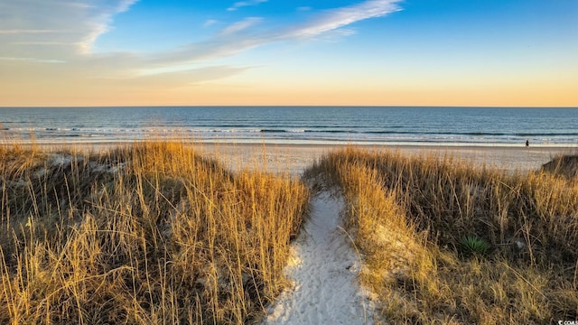 346 Tuckers Rd Unit A, Pawleys Island, SC 29585 - water view featuring local beach
