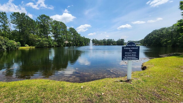800 Stone Pine Ct, Loris, SC 29569 - photo 9