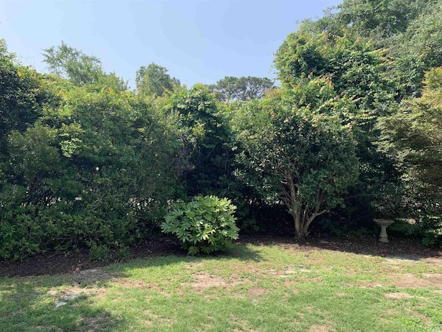 1432 Seahouse Ct, Surfside Beach, SC 29575 - view of grassy yard