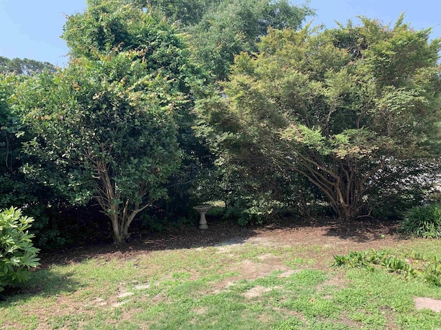 1432 Seahouse Ct, Surfside Beach, SC 29575 - view of yard