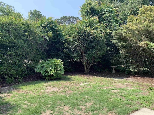 1432 Seahouse Ct, Surfside Beach, SC 29575 - view of grassy yard