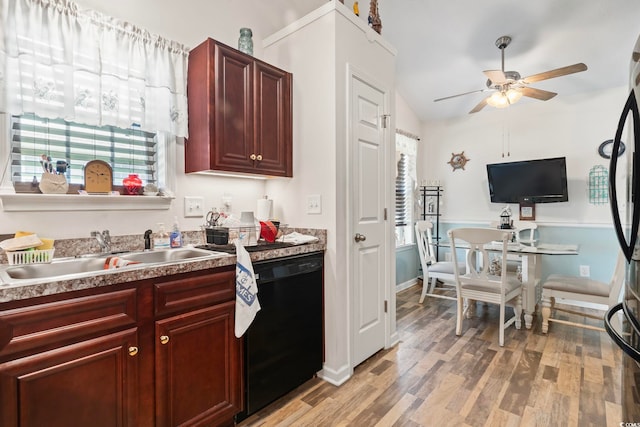 1068 Lizzie Ln, Surfside Beach, SC 29575 - kitchen with black dishwasher, a sink, a ceiling fan, dark brown cabinets, and light wood-style floors