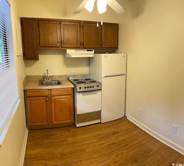 610 Putters Ln Unit H209, Little River, SC 29566 - kitchen with range with electric stovetop, under cabinet range hood, freestanding refrigerator, a ceiling fan, and wood finished floors