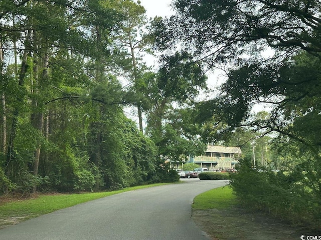 610 Putters Ln Unit H209, Little River, SC 29566 - view of asphalt road