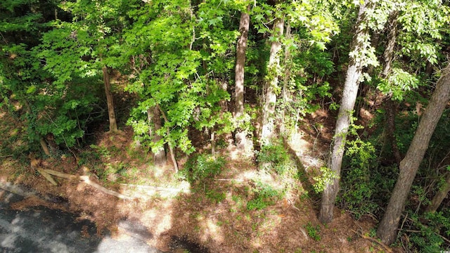 189 William Screven St, Georgetown, SC 29440 - photo 3