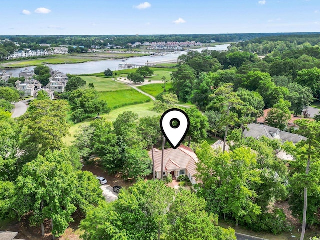 1501 Harbor Dr, North Myrtle Beach, SC 29582 - bird's eye view of a large body of water, a golf club, and a tree filled landscape