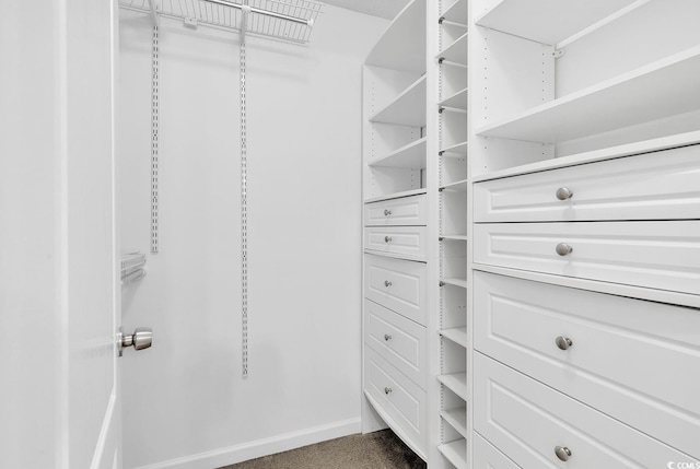 553 Fox Chase Dr, Conway, SC 29527 - view of walk in closet