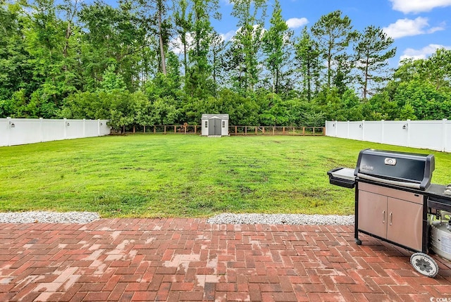 408 Carmello Cir, Conway, SC 29526 - view of yard featuring a patio area