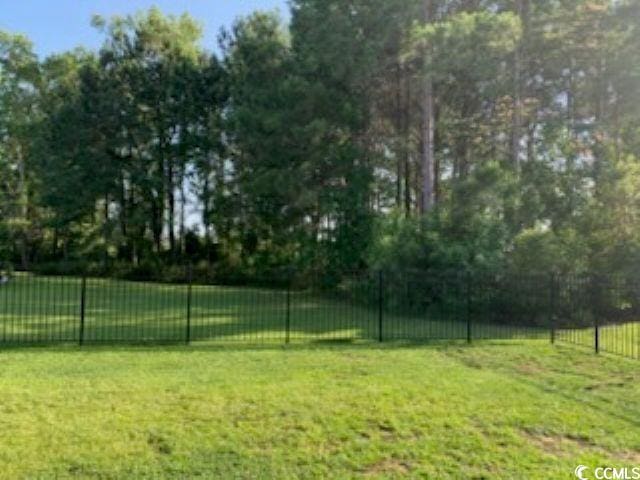 387 Blue Rock Dr, Longs, SC 29568 - photo 13