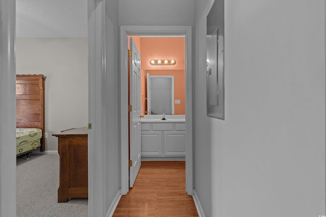 100 Lazy Willow Ln Unit 103, Myrtle Beach, SC 29588 - hallway with a sink, baseboards, and light wood-style floors