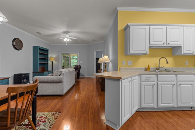 100 Lazy Willow Ln Unit 103, Myrtle Beach, SC 29588 - kitchen with a sink, a wood stove, light wood-style flooring, a ceiling fan, and ornamental molding