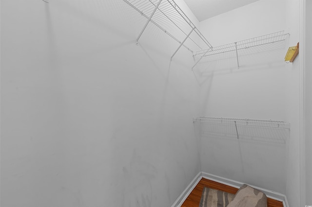100 Lazy Willow Ln Unit 103, Myrtle Beach, SC 29588 - spacious closet featuring wood finished floors