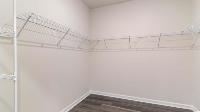 2750 Riverboat Way, Conway, SC 29526 - walk in closet featuring dark wood finished floors