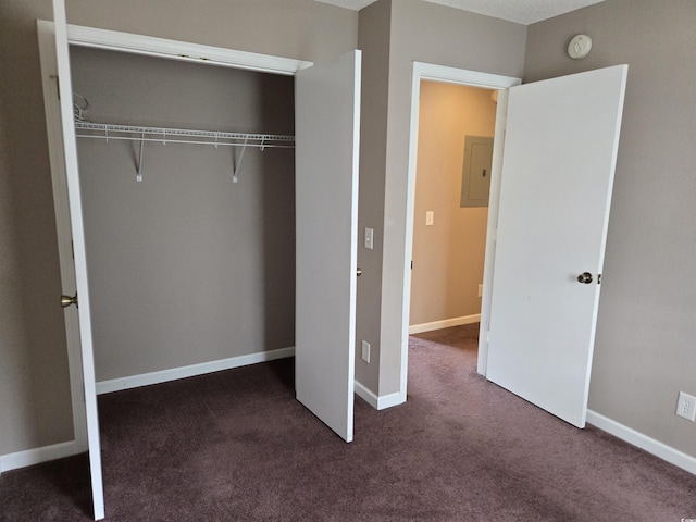 300-J Myrtle Greens Dr Unit J, Conway, SC 29526 - closet featuring electric panel