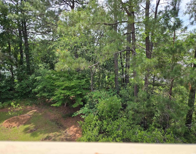 300-J Myrtle Greens Dr Unit J, Conway, SC 29526 - view of nature