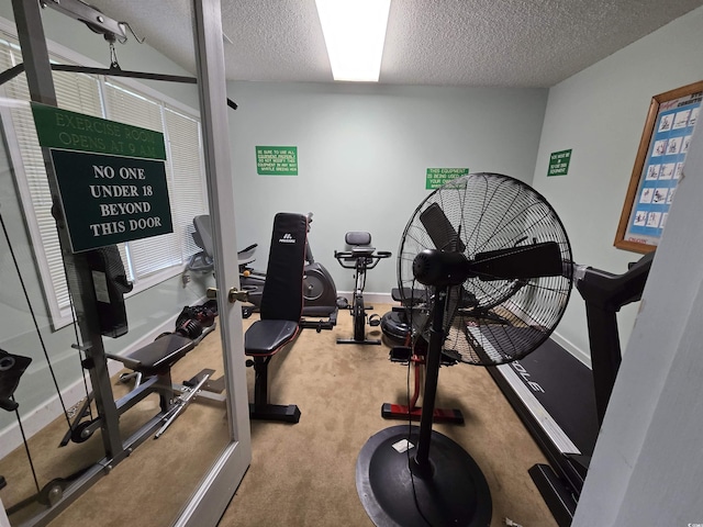 300-J Myrtle Greens Dr Unit J, Conway, SC 29526 - workout area featuring carpet flooring, a textured ceiling, and baseboards