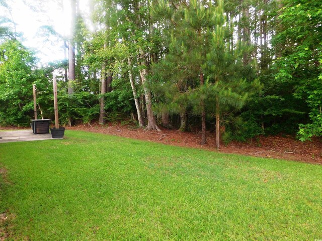 401 Quinta St, Longs, SC 29568 - view of green lawn