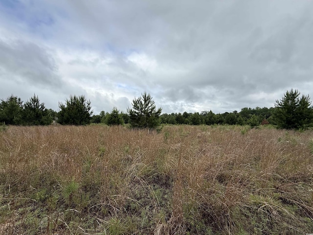 Macedonia Dr, Loris, SC 29569 - photo 3