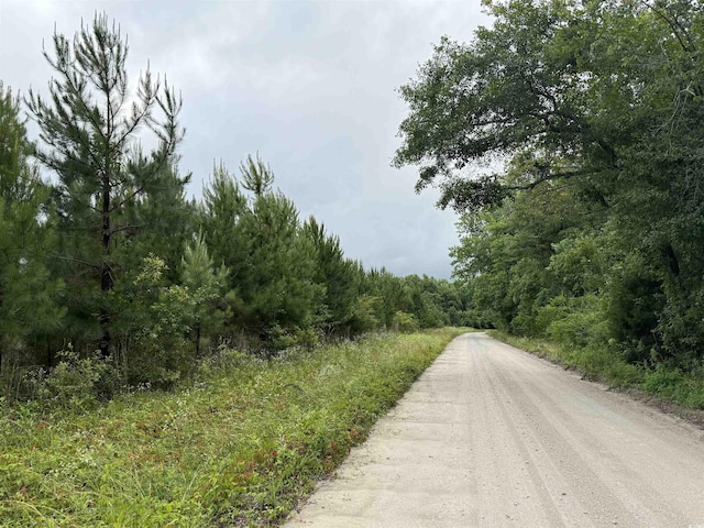 Macedonia Dr, Loris, SC 29569 - photo 5