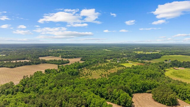 Macedonia Dr, Loris, SC 29569 - photo 11