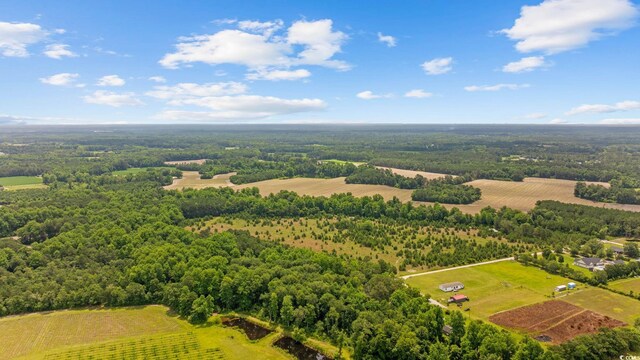 Macedonia Dr, Loris, SC 29569 - photo 13
