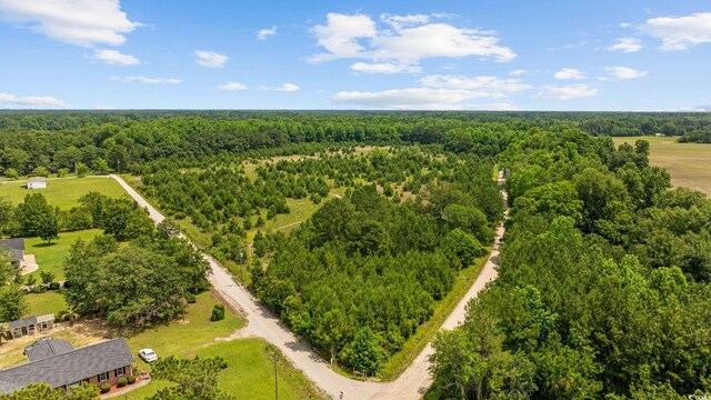 Macedonia Dr, Loris, SC 29569 - photo 14