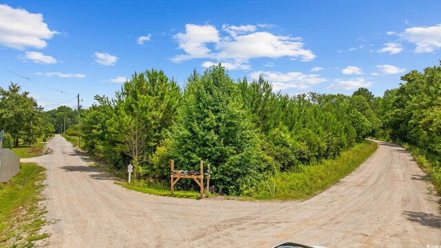Macedonia Dr, Loris, SC 29569 - photo 15