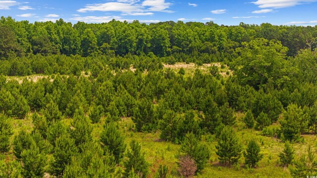 Macedonia Dr, Loris, SC 29569 - photo 16