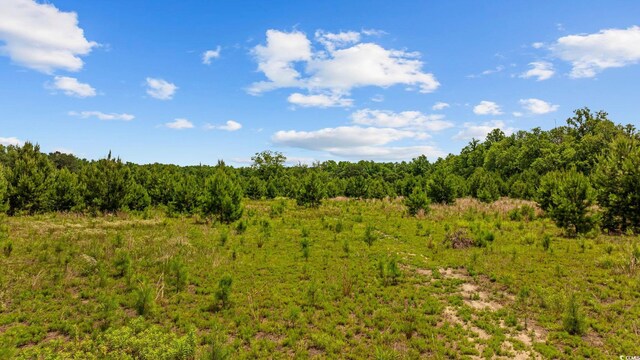 Macedonia Dr, Loris, SC 29569 - photo 17