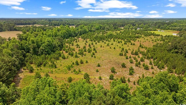 Macedonia Dr, Loris, SC 29569 - photo 18
