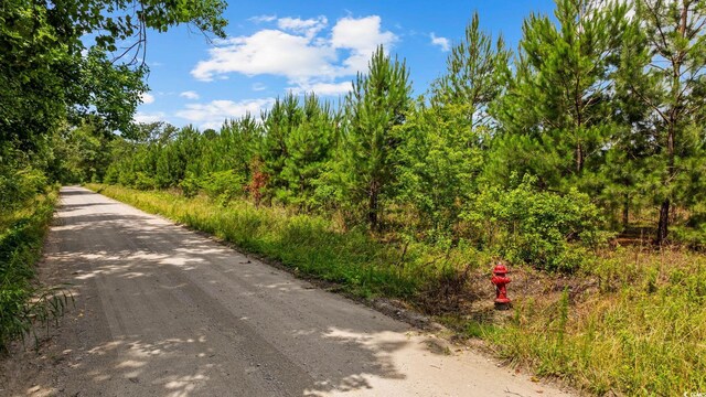 Macedonia Dr, Loris, SC 29569 - photo 19
