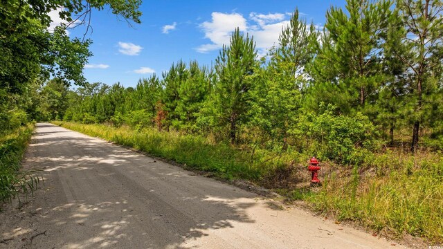 Macedonia Dr, Loris, SC 29569 - photo 20