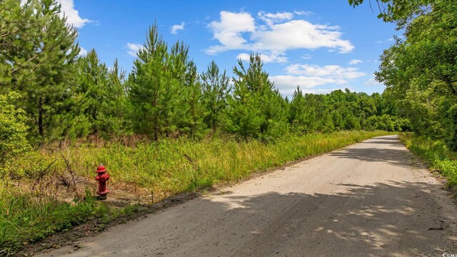 Macedonia Dr, Loris, SC 29569 - photo 21