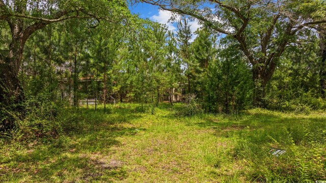Macedonia Dr, Loris, SC 29569 - photo 23