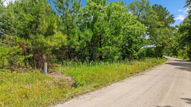Macedonia Dr, Loris, SC 29569 - photo 24