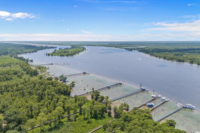 124 Wicklow Way, Pawleys Island, SC 29585 - bird's eye view of a large body of water and a forest