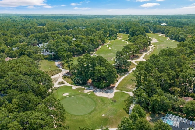 124 Wicklow Way, Pawleys Island, SC 29585 - aerial overview of property's location with a golf course and a forest