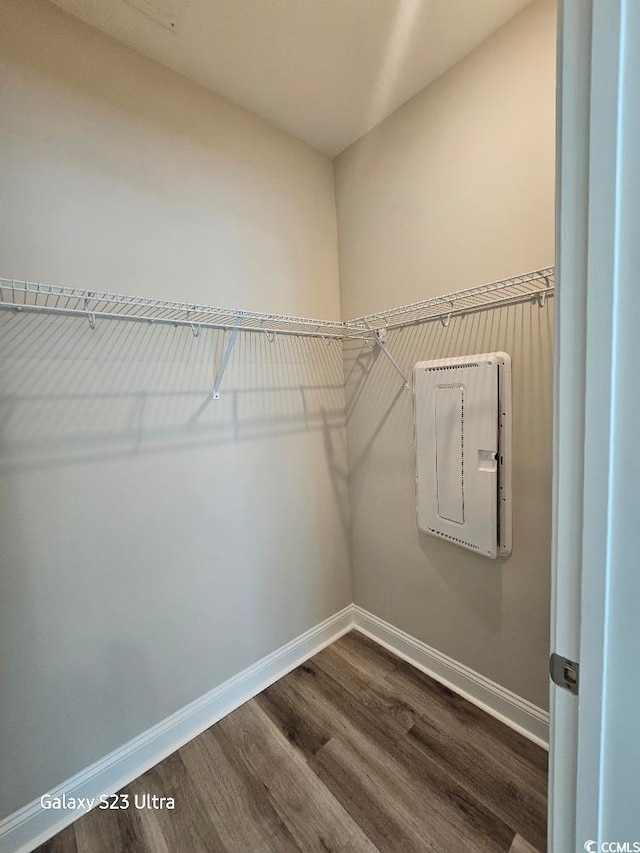 340 Kiskadee Loop, Conway, SC 29526 - walk in closet with dark wood-type flooring