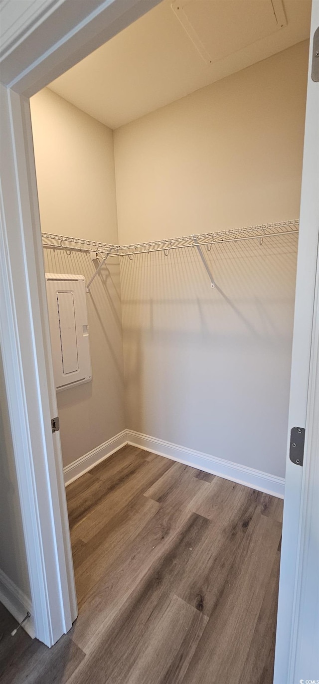 340 Kiskadee Loop, Conway, SC 29526 - walk in closet featuring dark wood finished floors and electric panel
