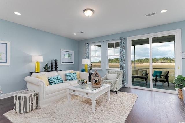 170 Bantry Ln, Conway, SC 29526 - living room with dark wood finished floors and recessed lighting