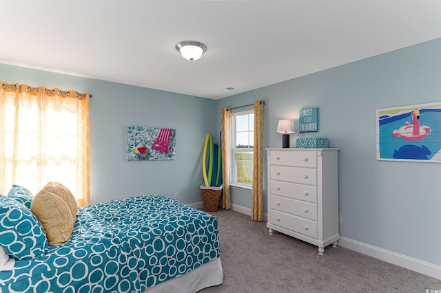170 Bantry Ln, Conway, SC 29526 - carpeted bedroom with baseboards