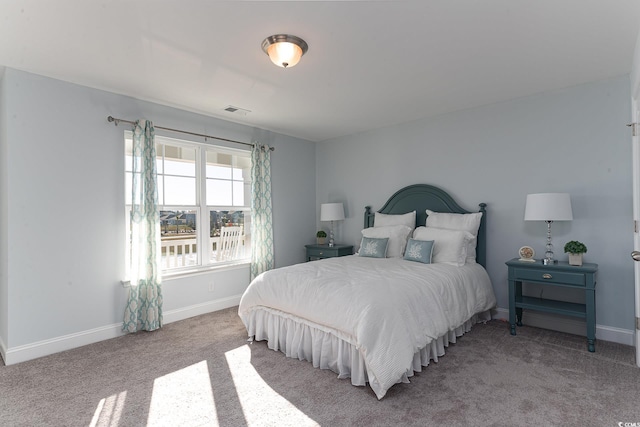 170 Bantry Ln, Conway, SC 29526 - carpeted bedroom with baseboards