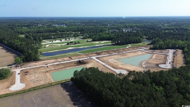 170 Bantry Ln, Conway, SC 29526 - aerial overview of property's location featuring a heavily wooded area and a large body of water