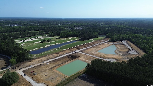 170 Bantry Ln, Conway, SC 29526 - aerial view of property's location with a forest and a large body of water