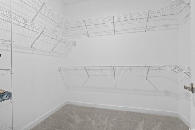 1178 Pyxie Moss Dr, Little River, SC 29566 - walk in closet featuring carpet flooring