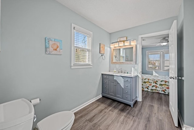 312 35th Ave N, North Myrtle Beach, SC 29582 - bathroom featuring healthy amount of natural light, vanity, and wood finished floors