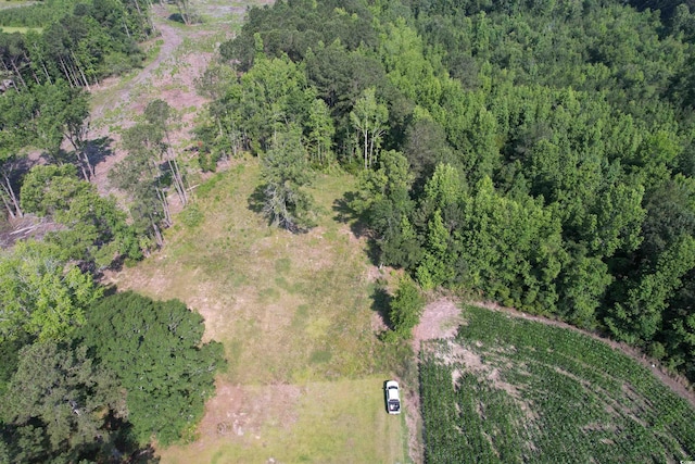 TBD Samuels Ave, Salters, SC 29590 - photo 9