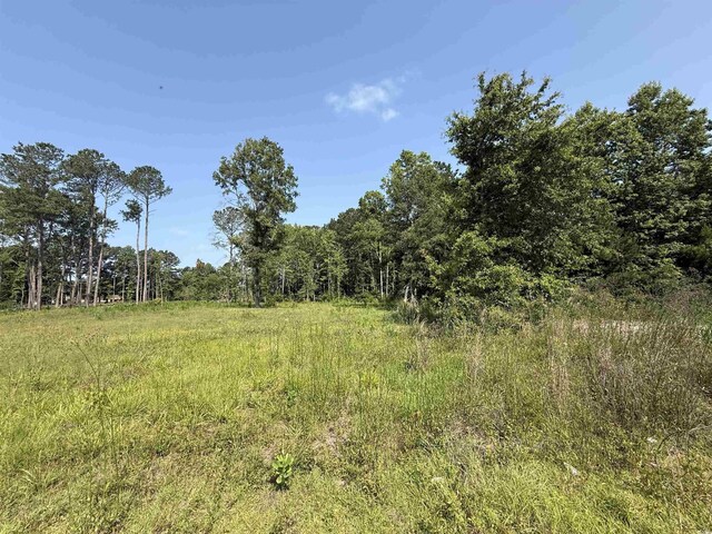 TBD Samuels Ave, Salters, SC 29590 - photo 8