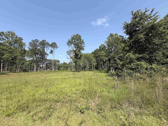 TBD Samuels Ave, Salters, SC 29590 - photo 7