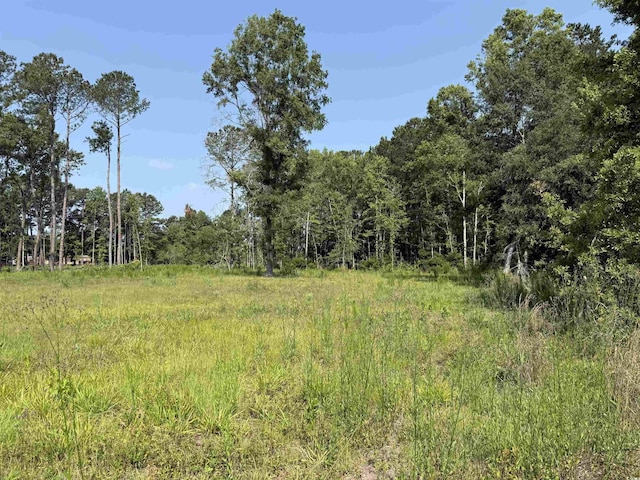 TBD Samuels Ave, Salters, SC 29590 - photo 6